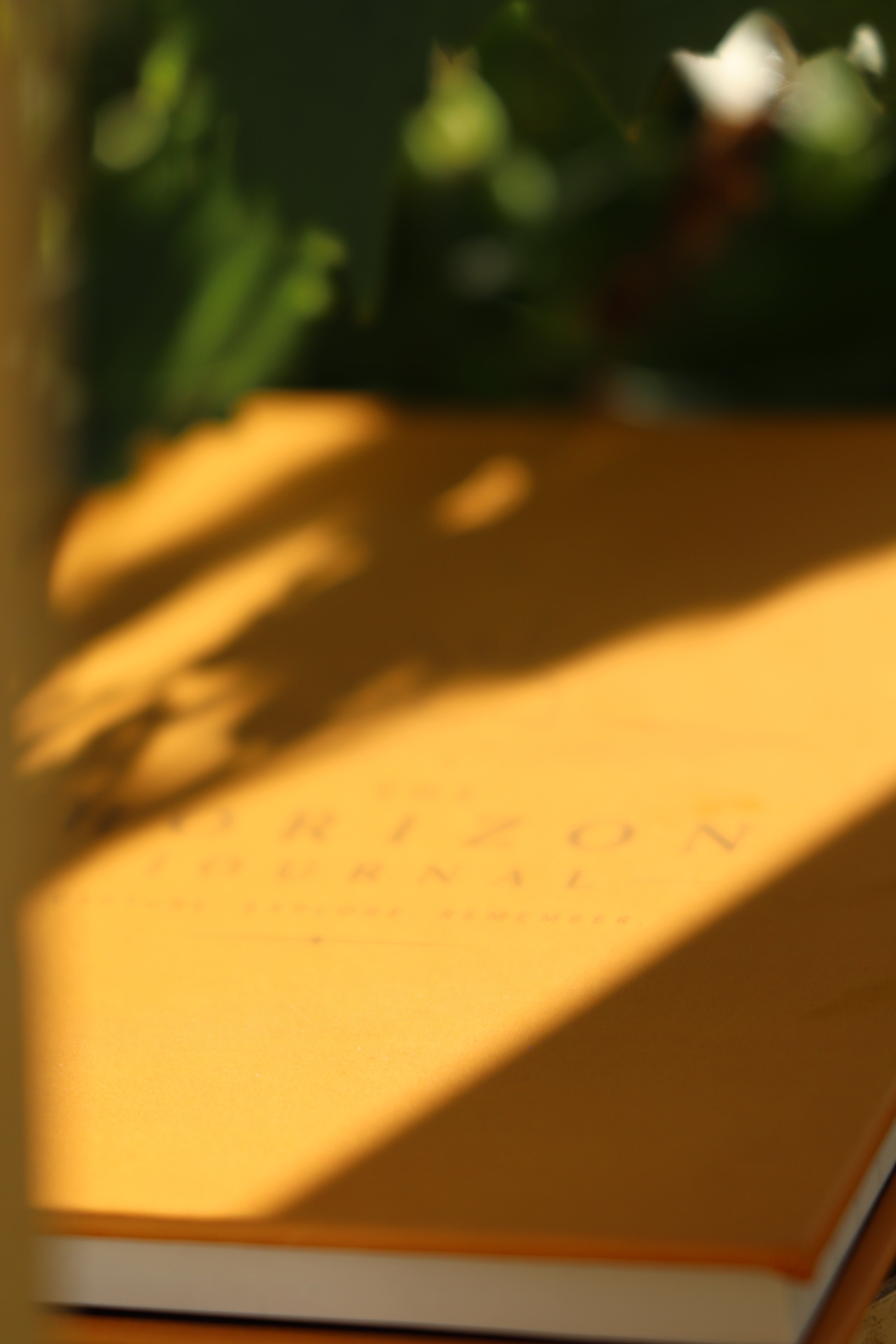 The Horizon Journal